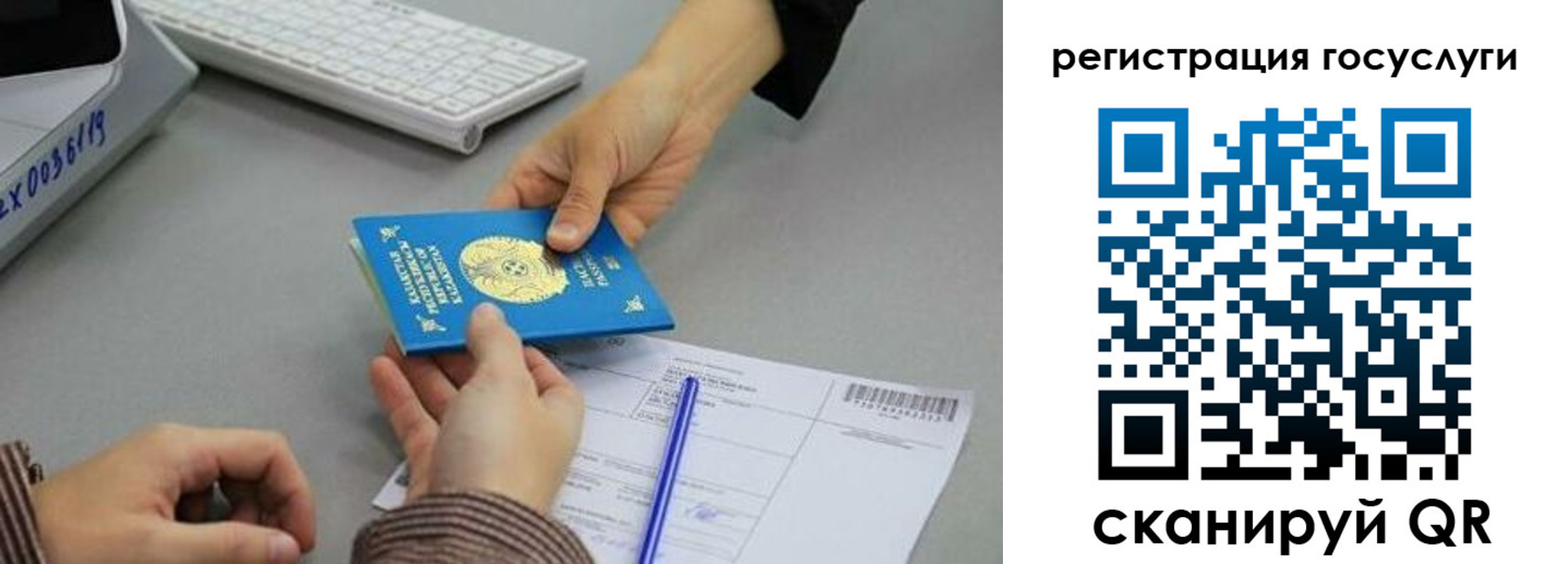 временная прописка в Зее